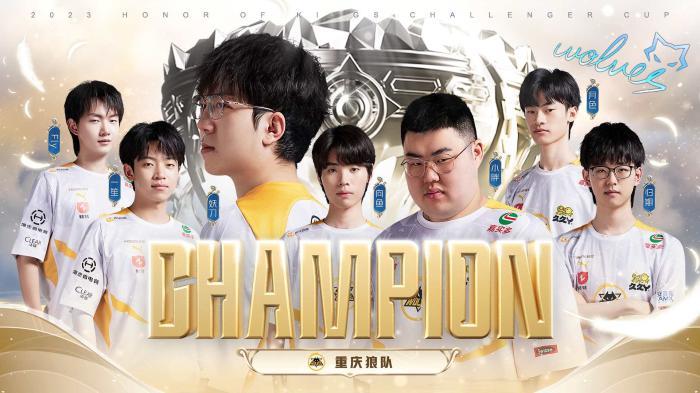 他的表现常