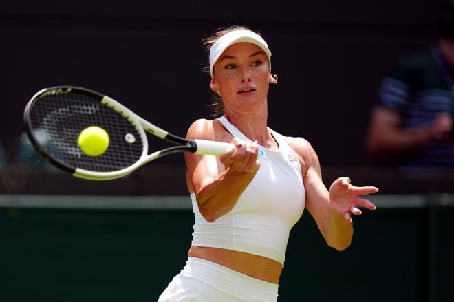 布朗与胡金 布朗与胡金