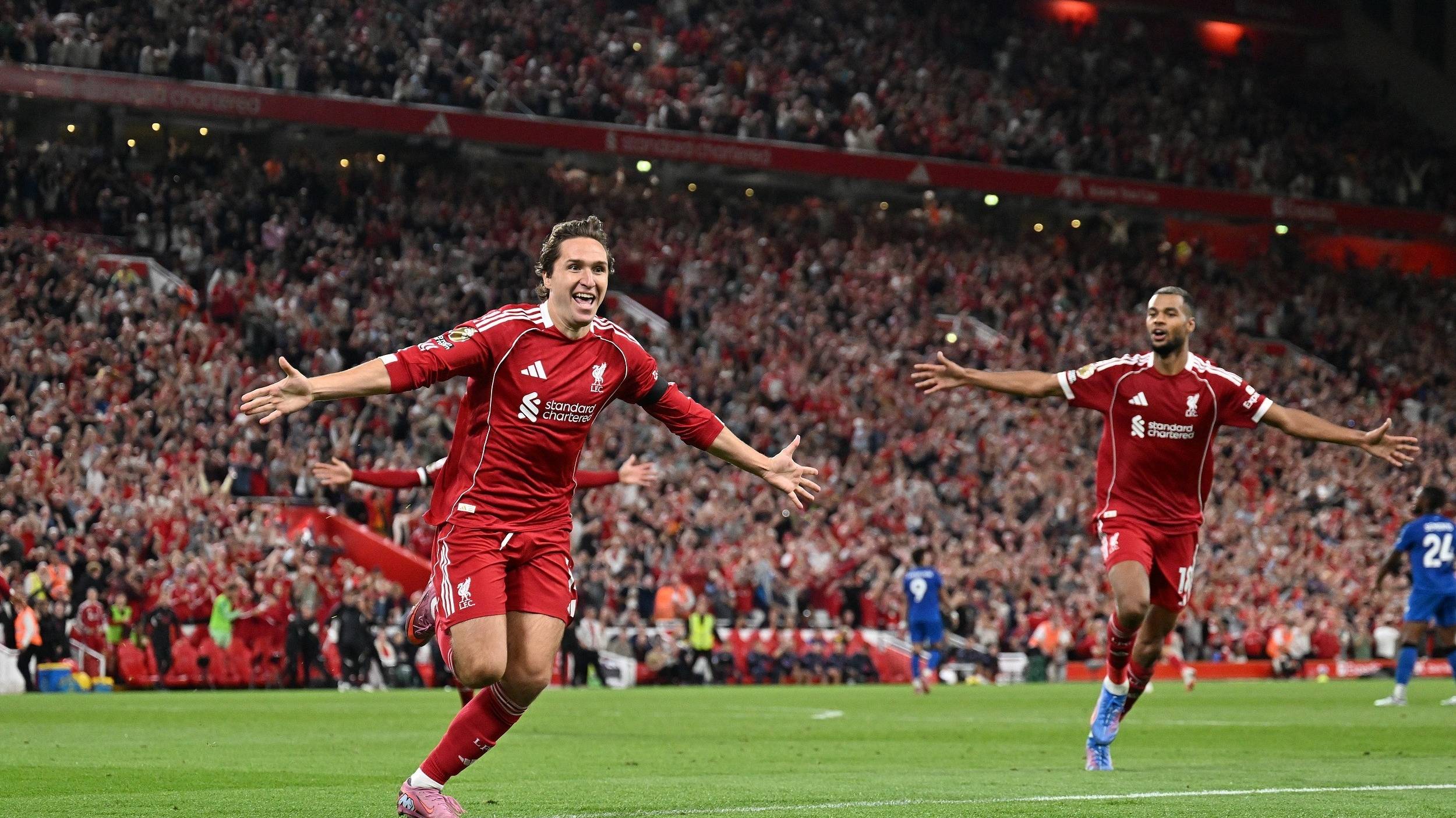 任何纰漏都 任何纰漏都