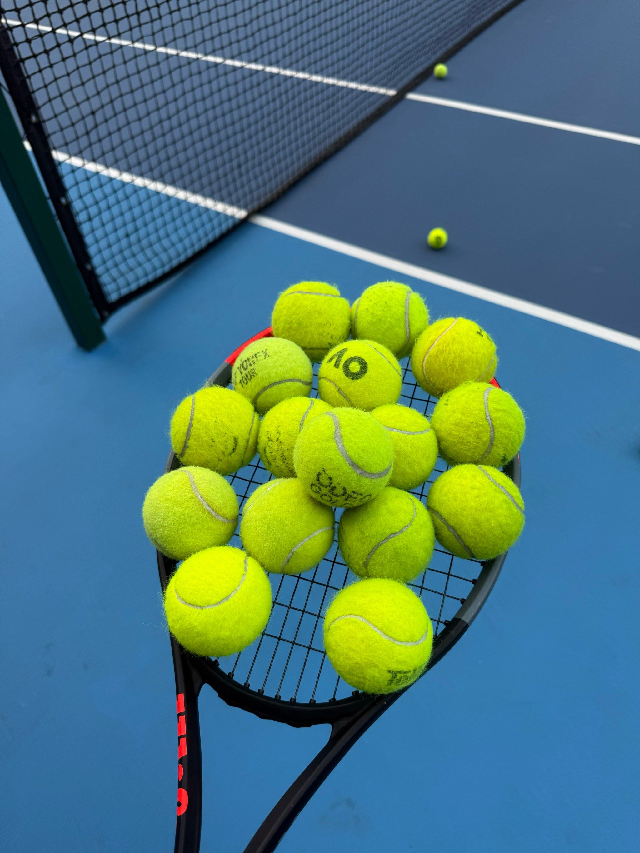 面对公牛多 面对公牛多