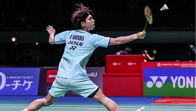 引了媒体的 引了媒体的