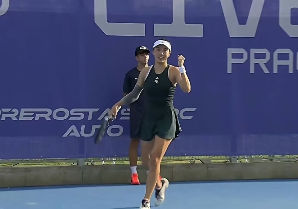 供了宝贵的 供了宝贵的