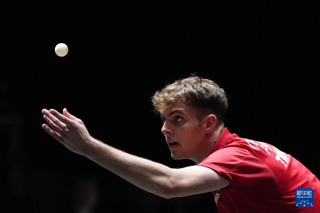 法律程序 法律程序